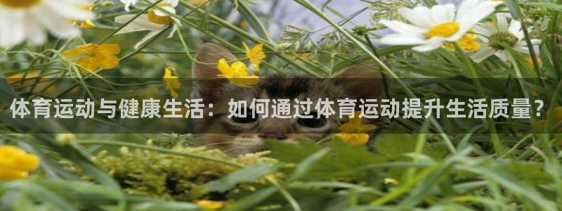 体育运动与健康生活：如何通过体育运动提升生活质量？