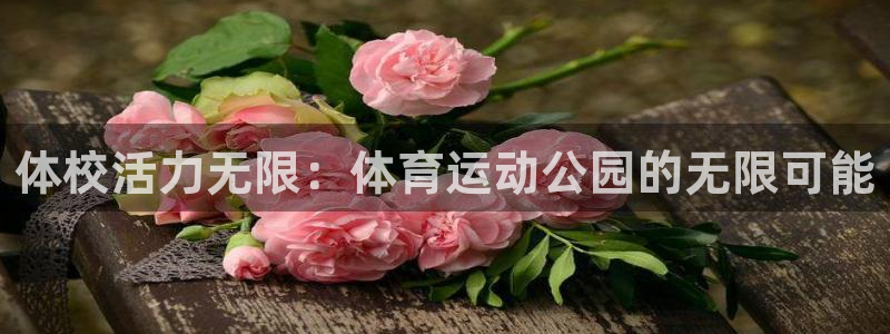 体校活力无限：体育运动公园的无限可能