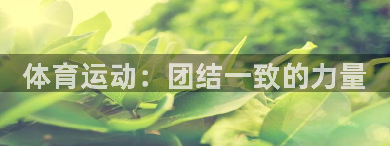 体育运动：团结一致的力量