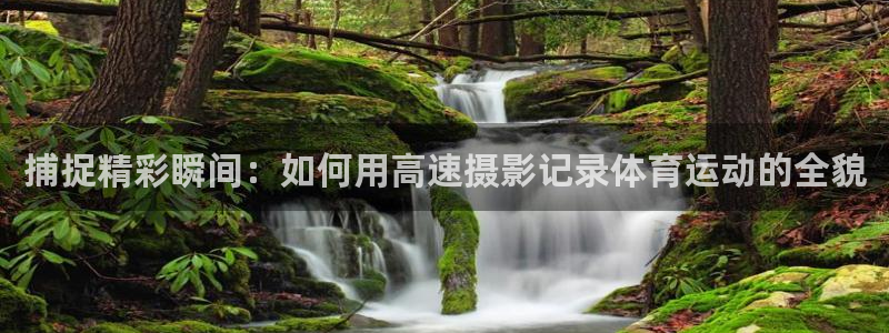 捕捉精彩瞬间：如何用高速摄影记录体育运动的全貌