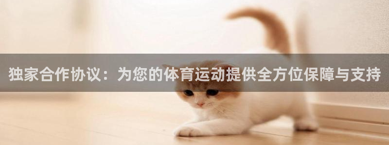 独家合作协议：为您的体育运动提供全方位保障与支持