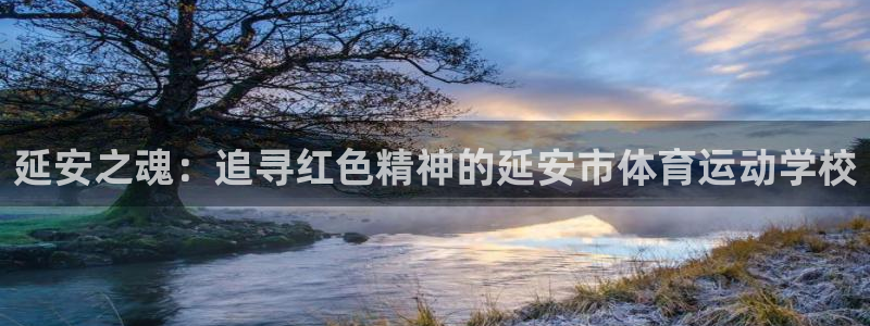 延安之魂：追寻红色精神的延安市体育运动学校