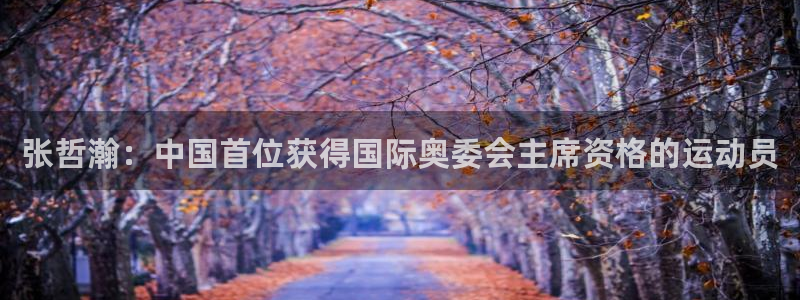 张哲瀚：中国首位获得国际奥委会主席资格的运动员