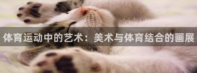 体育运动中的艺术：美术与体育结合的画展